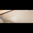 하나애견 이미지