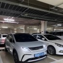 삼천리자동차정비 | BYD 돌핀 출고 후 1개월, 1,500km 주행 후기 / 가성비 전기차 추천 내돈내산