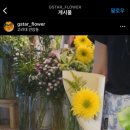 지스타플라워 이미지