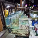행운굴구이 | [무이네 호치민 베이징 여행 9편] 해산물 천국 무이네에서 맛본 또 다른 해산물 유명 맛집 꽌비보후기
