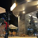 세븐일레븐 관악공원점 | 안양 애견카페 추천 TOP10