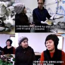 잎새버섯판매