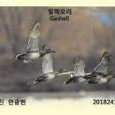 부석우체국 이미지