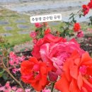 추풍령급수탑공원 화장실 이미지