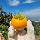 진영농장 이미지