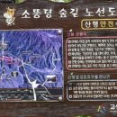 (비돈님의) 비오는 소똥령 주저리 주저리 이미지