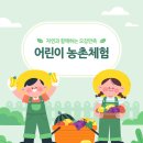 춘천초등학교 이미지