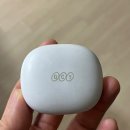 11650-16-6-1 | 가성비가 아닌 갓성비 QCY 멜로버즈 HT16 N30 무선 블루트스 이어폰 6개월 사용후기 feat 내돈내산