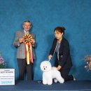 워킹포드림 이미지