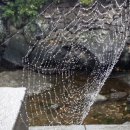 할망네민박 이미지