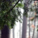 방아다리길 이미지