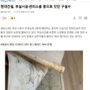인천송빛초등학교 이미지