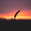 햇빛Hair 이미지