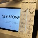 테라스 | [이천 시몬스테라스 방문후기] 베이커리·카페·포토존까지 완벽 정리