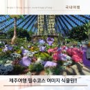 동문식당 | [제주 단체여행 가이드] 동문시장 동준식당 국수 솔직 비추 후기 vs. 여미지식물원 포켓몬 무료입장 꿀팁