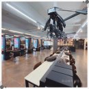 다짐 쌍용점 | 쌍용동 미용실 토리헤어 쌍용점, 내 얼굴형에 딱 맞는 스타일을 전문가의 안목으로 제안!