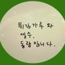 시금치 한 단으로 `세 가지 특선요리` 만들기 이미지