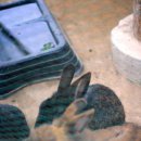 드루와농장 이미지