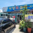 대저역 | [부산 강서구] 대저역 근처 물회 맛집 낙양회센타