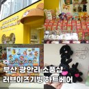 광안리 소품샵 러브이즈기빙하트베어 방문기 귀여운 굿즈 쇼핑