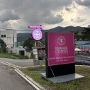 하백 | 남양주 북한강뷰 애견동반 카페 - 테라스가 있는 뷰맛집 <하백(HABAEK)> 내돈내산 후기