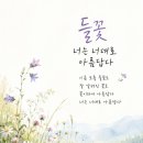 들꽃 이성진 이미지