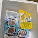 파머손 | 다이어트 식단 필수템! 손에 묻지 않는 '아스트로 파머 냉동 고구마' 맛별 후기