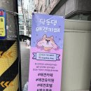 딩동댕 애견카페 이미지