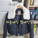 비포렉스
