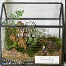 양동진동물병원(출장전문) | 강남 기업 출강 팀빌딩 소통 워크숍 여름엔 이끼 테라리움