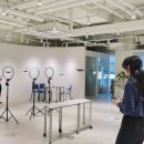 틈바구니