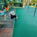 우암유치원 이미지