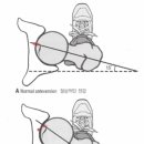 트레인하드 이미지