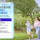 일곱빛 약국 루리웹게임뉴스