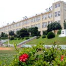 고금중학교 이미지