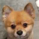밴스동물병원 이미지