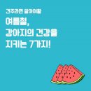 한별 리멤버파크 이미지