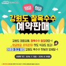 삼생정보화마을 이미지