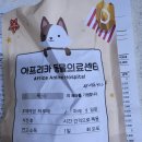 아프리카 동물의료센터 이미지