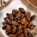 아중장어 이미지