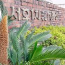 강정동-68 이미지