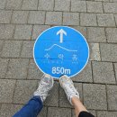 세진농장 | 수락휴 수락산 동막골 자연휴양림 • 씨즌서울by홍신애 레스토랑 후기