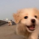 소고놀이 이미지