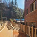 월 강좌(4월) / 라인댄스 (중급) | 부산시보도자료20260313금요일