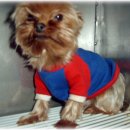 속편한동물약국 이미지