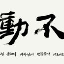 <한줄 철학> 철학자의 죽음 이미지