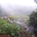 동혈사 삼층석탑 이미지