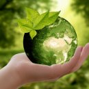 제주부자돈 이미지