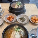 토정삼계탕 | [세종맛집/어진동맛집] 다양한 삼계탕 찐맛집 '토정삼계탕 청사관' 내돈내산 솔직후기