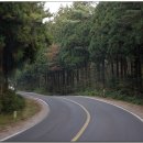 회천동 석상 이미지